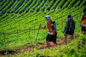 BIB: 439
                            <button type="button" onclick="openModal(19161812)" class="btn btn-primary btn-sm float-right btn-popup" data-toggle="modal" data-target=".modal-high-quality">
                        <i class="fas fa-shopping-cart"></i> Add to Cart
                    </button>
                                            <button type="button" onclick="isThisMe(19161812, true)" class="btn btn-success btn-sm float-right btn-popup btn-isme hidden" data-toggle="tooltip" data-placement="bottom" title="นี่คือรูปของคุณใช่ไหม คลิกที่นี่เพื่อเอาเข้าอัลบั้ม">
                        <i class="fas fa-plus"></i> Add to album
                    </button>
                    <button type="button" onclick="isThisMe(19161812, false)" class="btn btn-warning btn-sm float-right btn-popup btn-isnotme hidden">
                        <i class="fas fa-ban"></i> Remove from album
                    </button>